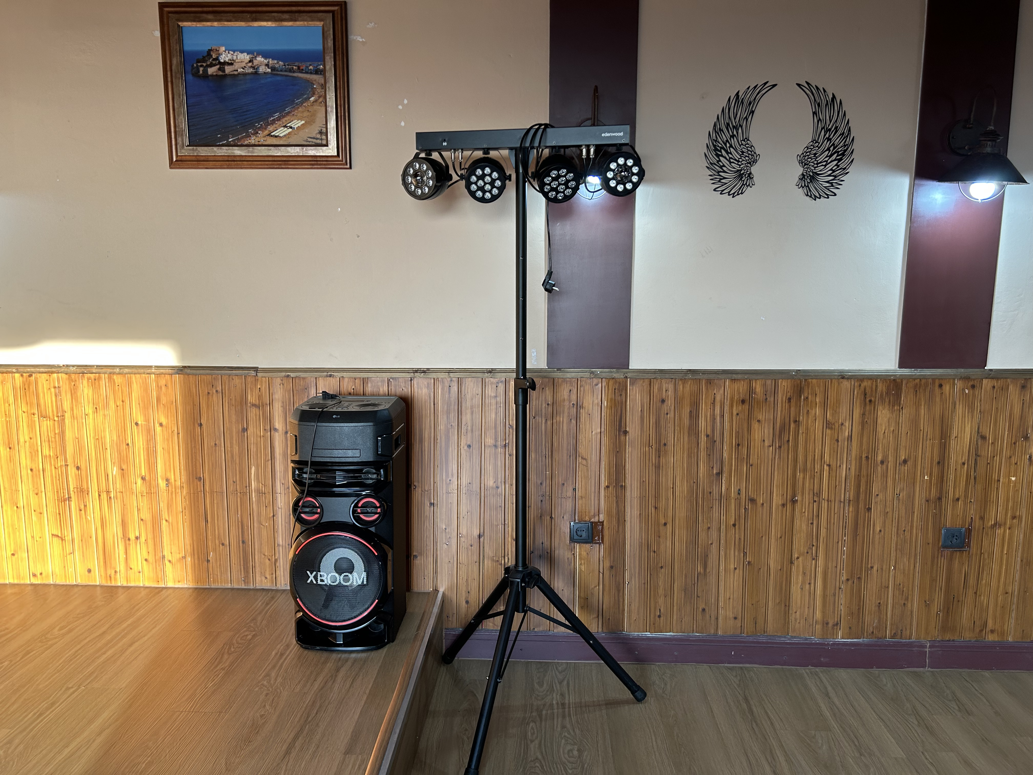 Sistema de sonido y luces profesionales